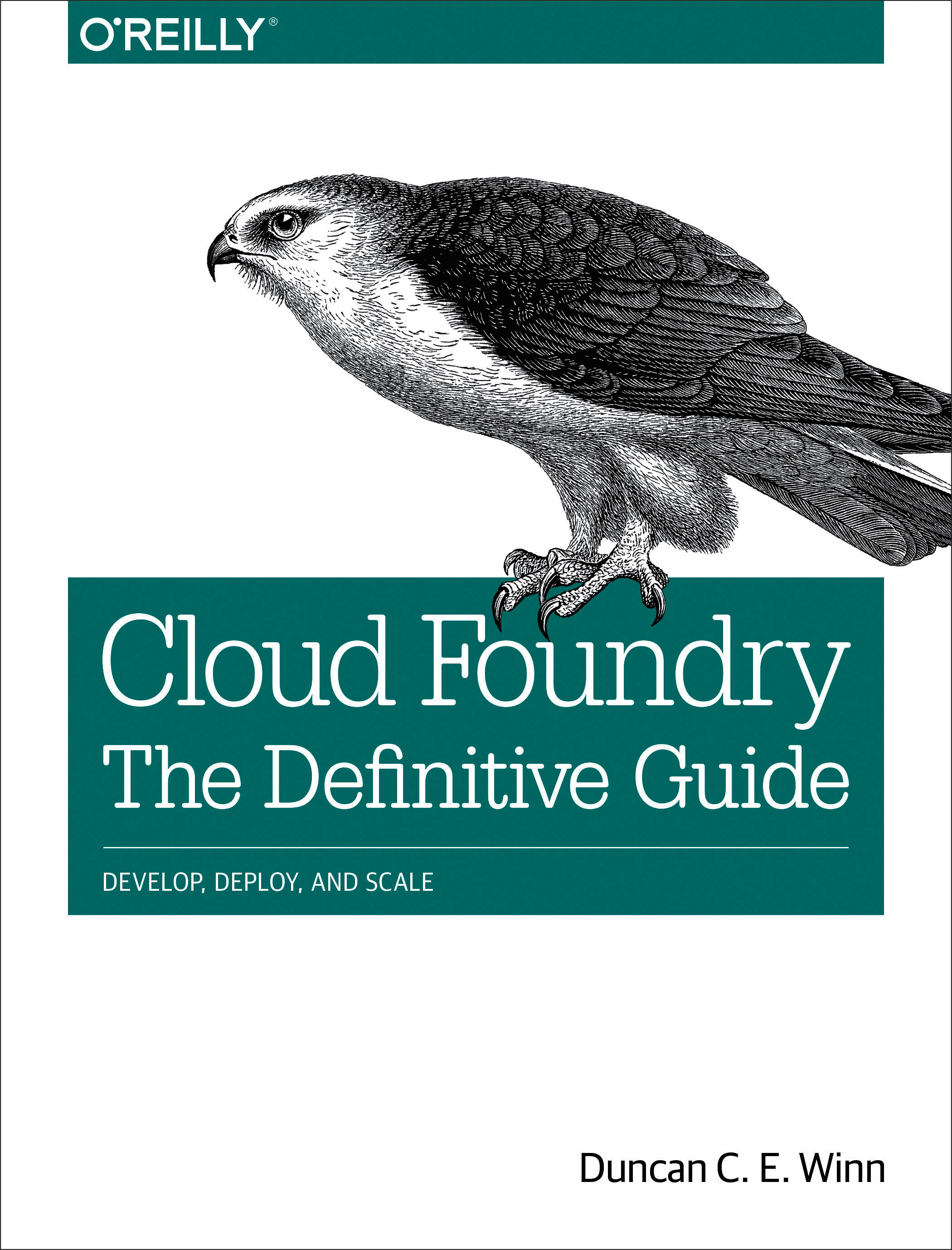 Cloud Foundry: The Definitive Guide