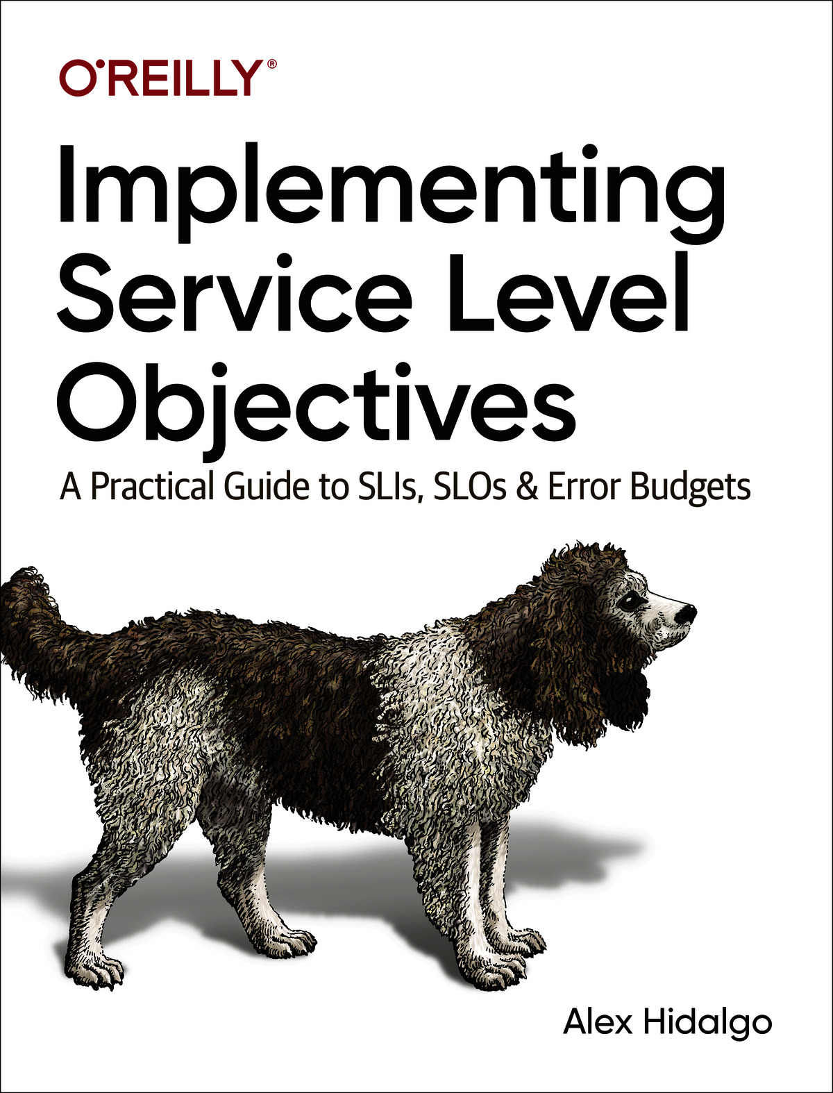 Implementing Service Level Objectives