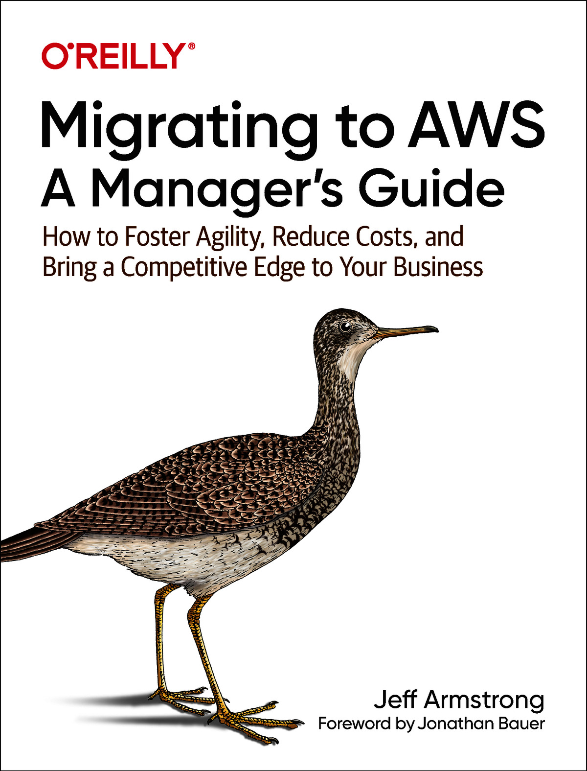 Migrating to AWS: A Manager's Guide