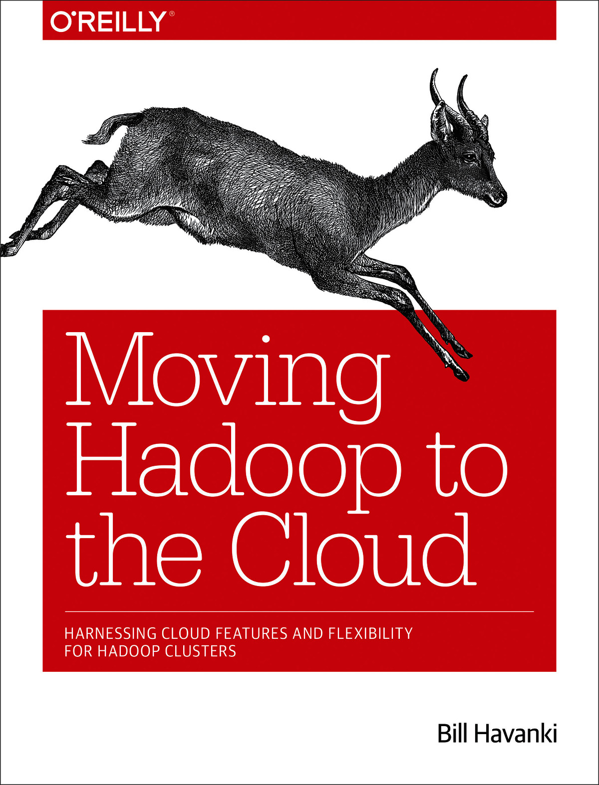 Moving Hadoop to the Cloud