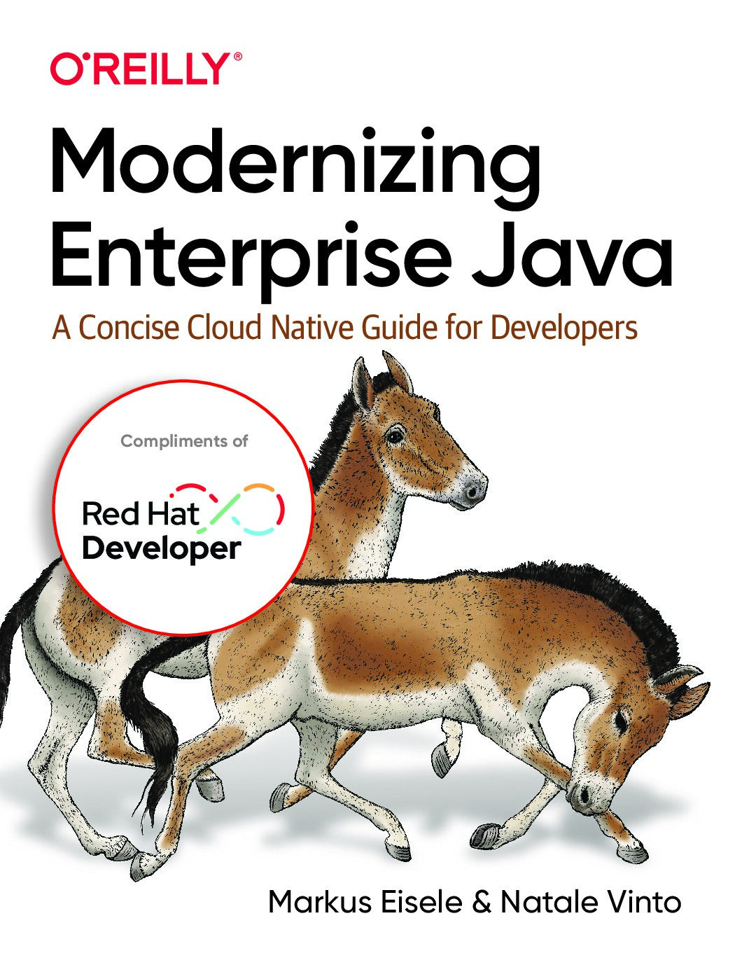 Modernizing Enterprise Java